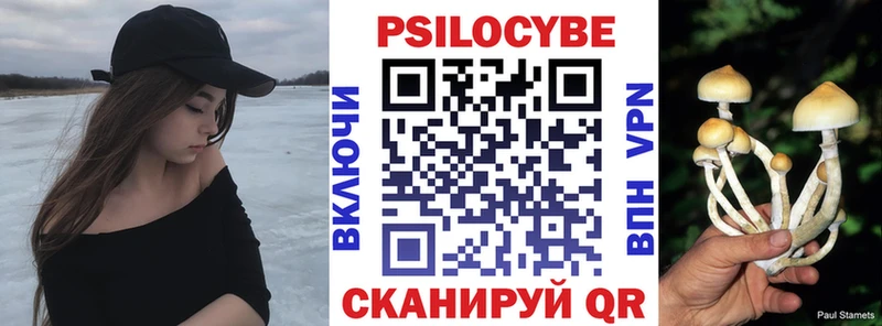 как найти закладки  Лермонтов  Галлюциногенные грибы Cubensis 